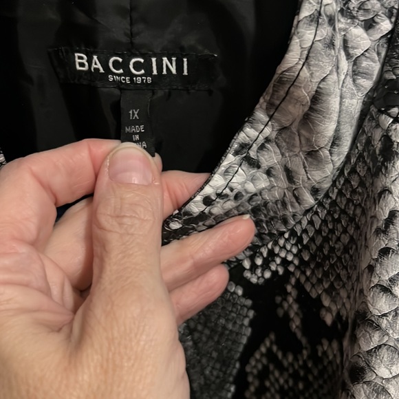 Jacket - Picture 2 of 6